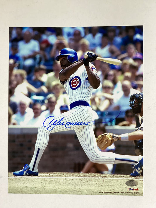 Andre Dawson - Chicago Cubs