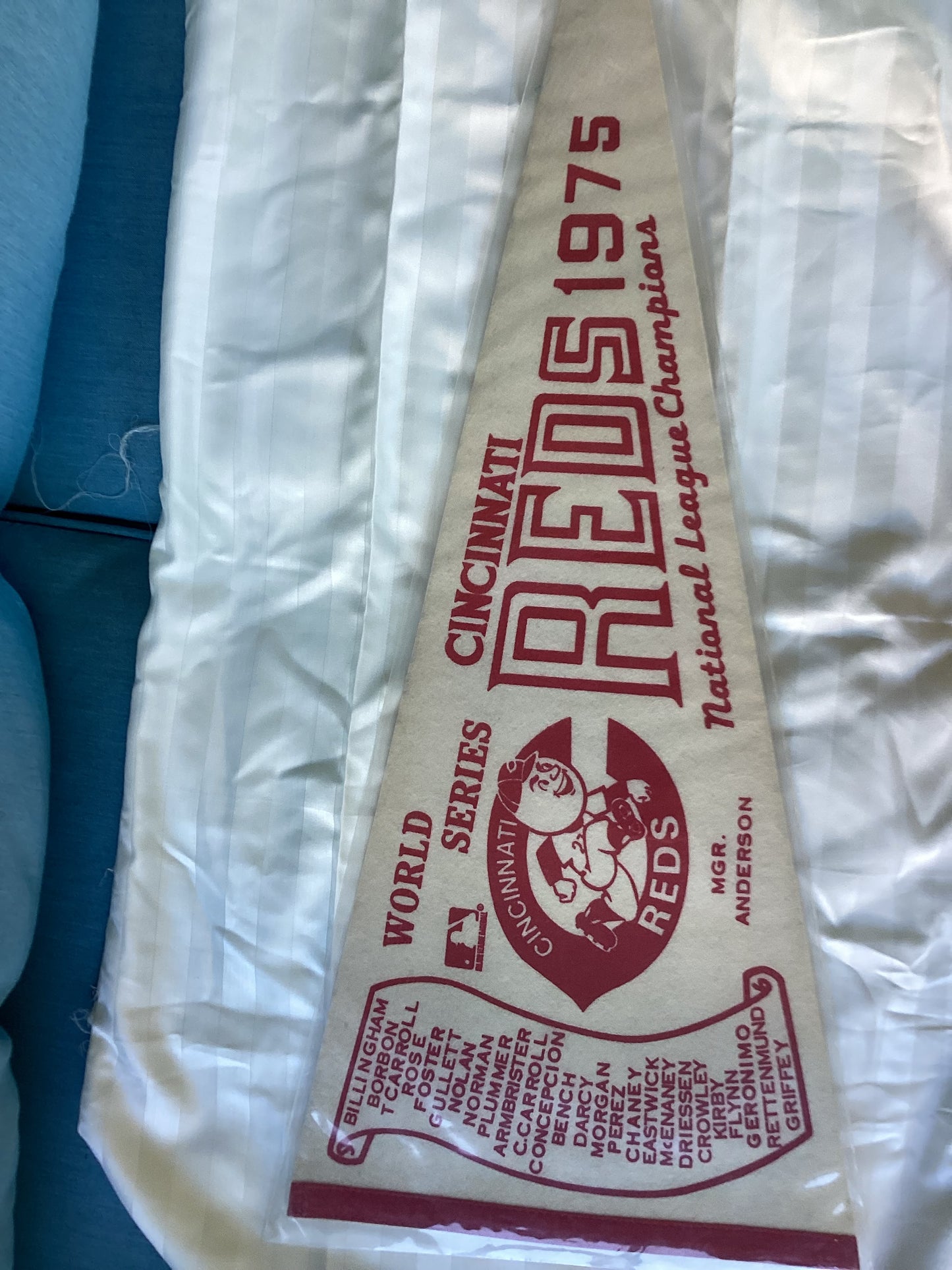 Cincinnati Reds 1975 World Series Pennant