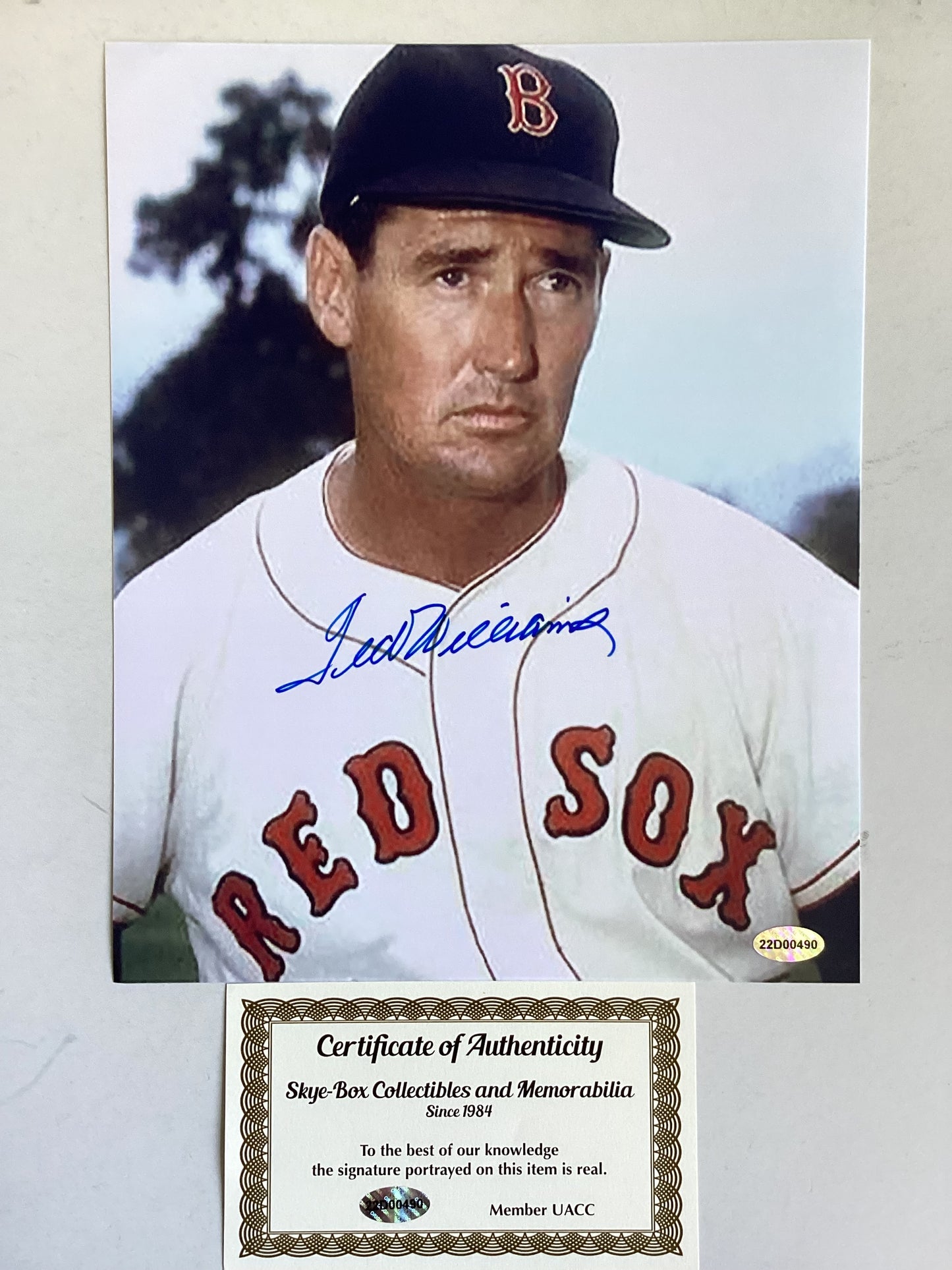 Ted Williams - Boston Red Sox